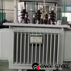 11kv 100kVA distribusjonstransformator