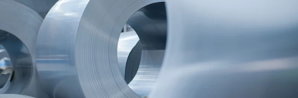 Cold rolled oriented electrical steel Cold rolled oriented electrical steel